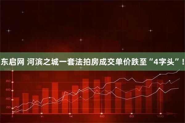 东启网 河滨之城一套法拍房成交单价跌至“4字头”！