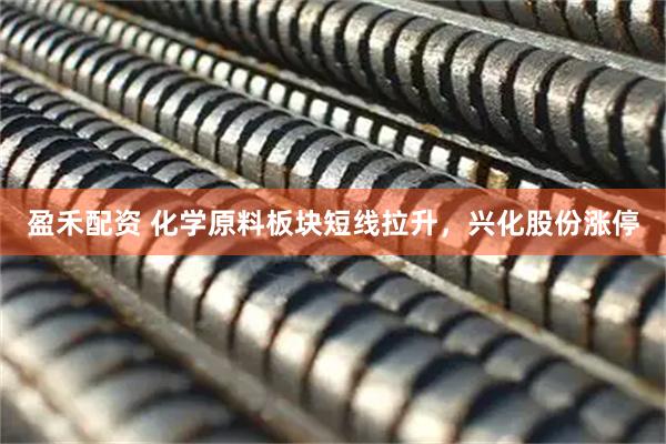 盈禾配资 化学原料板块短线拉升，兴化股份涨停