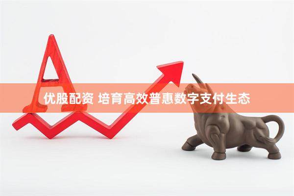 优股配资 培育高效普惠数字支付生态