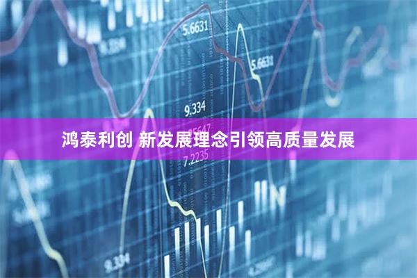 鸿泰利创 新发展理念引领高质量发展