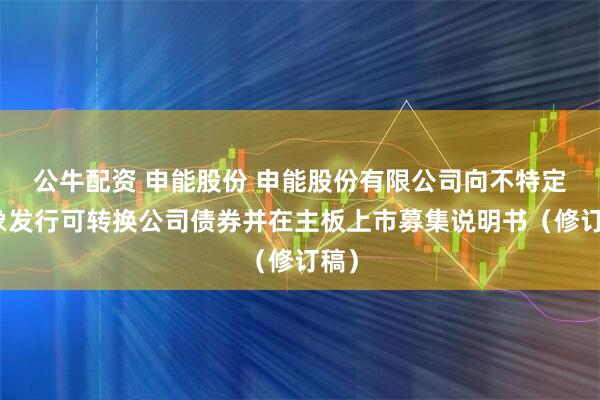 公牛配资 申能股份 申能股份有限公司向不特定对象发行可转换公司债券并在主板上市募集说明书（修订稿）