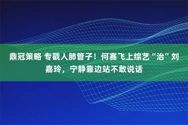 鼎冠策略 专戳人肺管子！何赛飞上综艺“治”刘嘉玲，宁静靠边站不敢说话