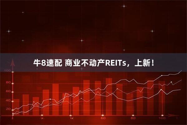 牛8速配 商业不动产REITs，上新！