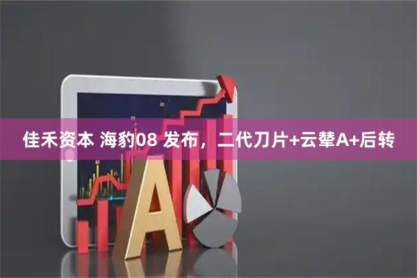 佳禾资本 海豹08 发布，二代刀片+云辇A+后转